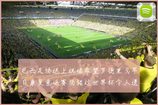 巴西足协送上祝福希望罗德里戈早日康复重返赛场错过世界杯令人遗憾
